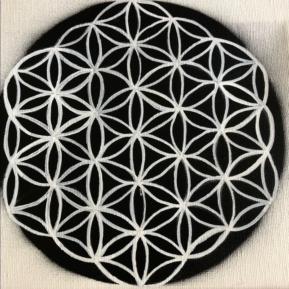 Meet your Posher, Rosa